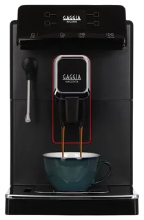 Ремонт насоса Gaggia Magenta Plus BK 8700